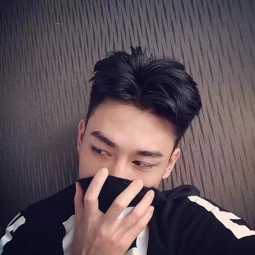宋振嘉翰