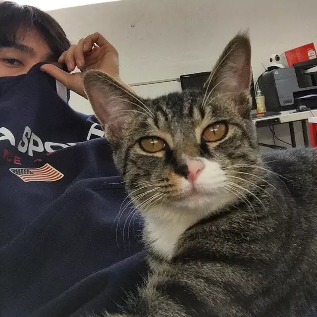 淳于仁娜会