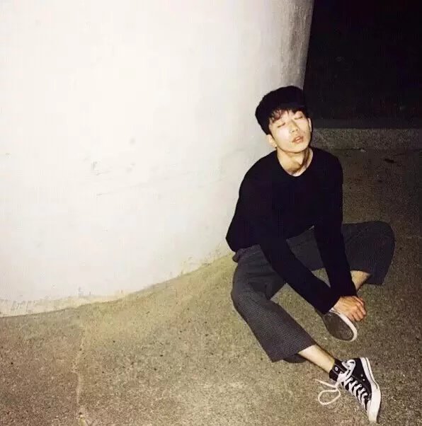 吴政芸环