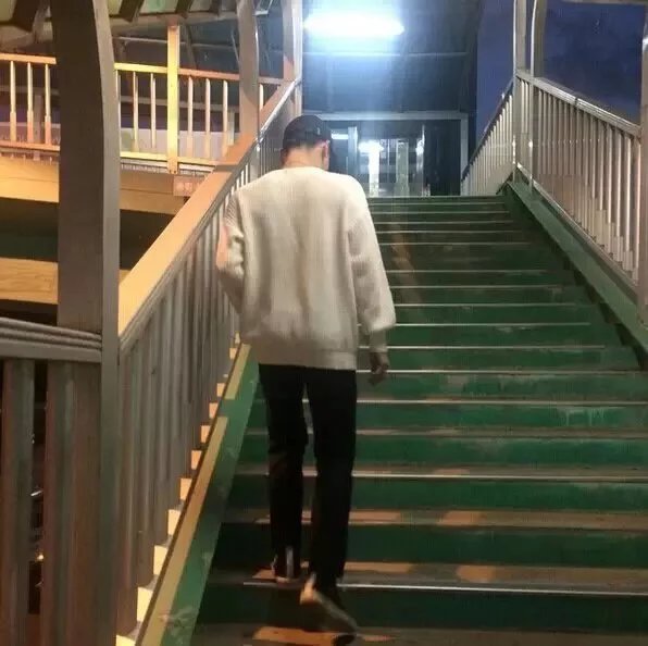 封枫栋义