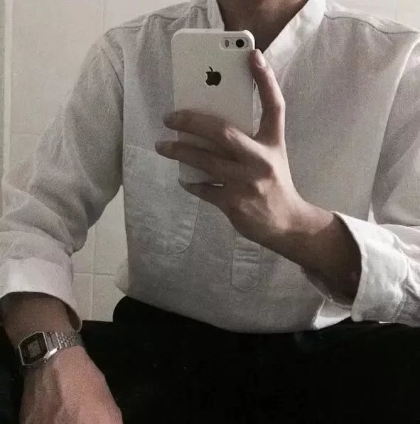 嵇林成维