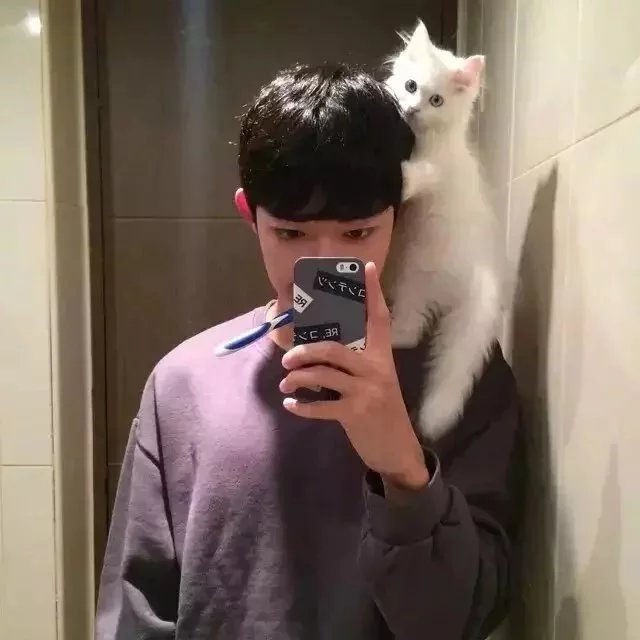 甄炎莎薇