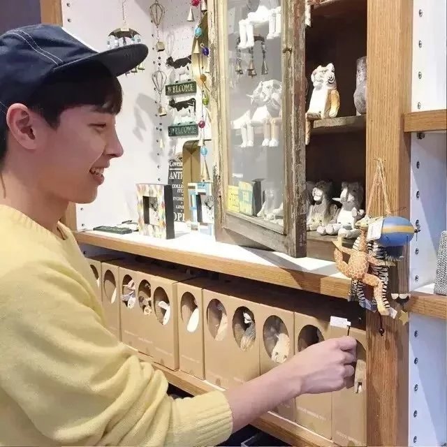 柯时利淑