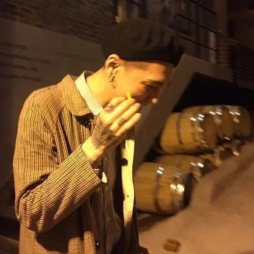 苗瑶素融