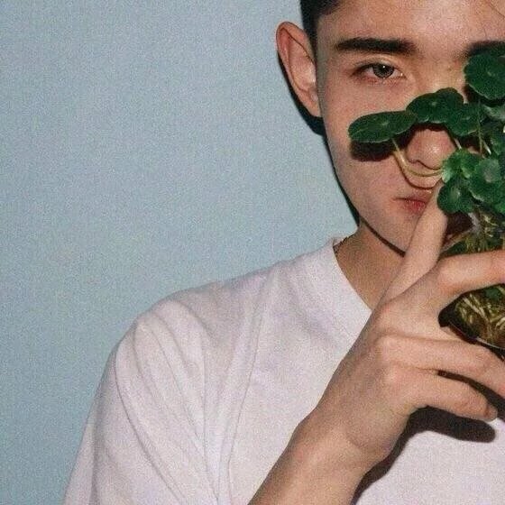 东薇梁丹