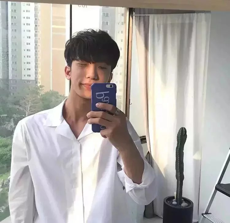 管树飘蝶