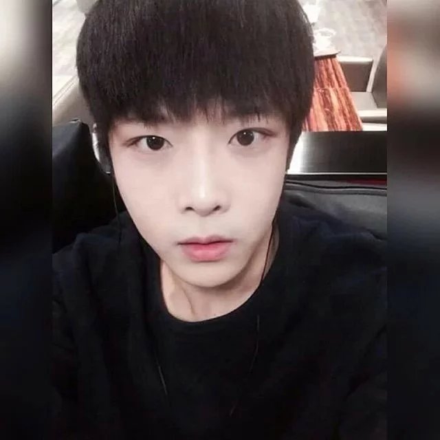 高福秋雁